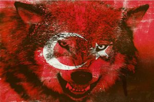 12 Adet Güzel Türk Bayrakları – Hd Resimler