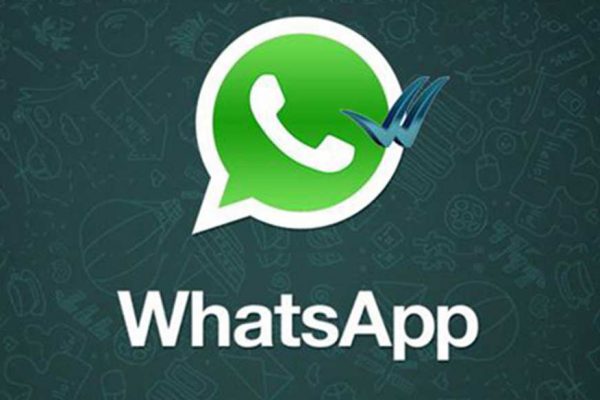 WhatsApp Mesajlarımdaki Onay İşaretleri Ne Anlama Geliyor